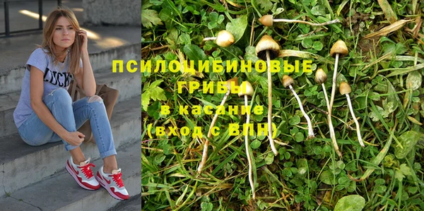 трава Нефтекумск
