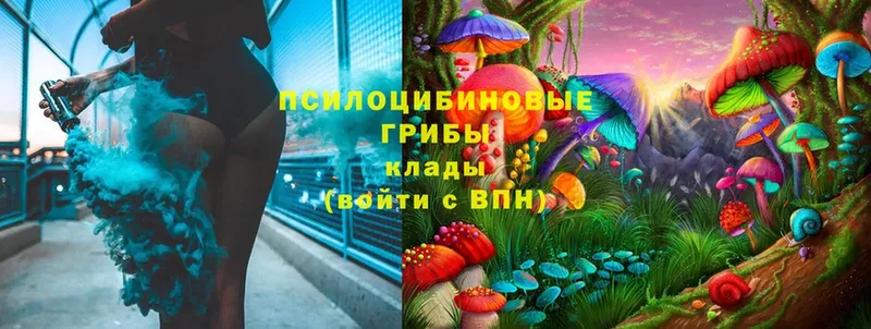 Псилоцибиновые грибы Cubensis  Энем 